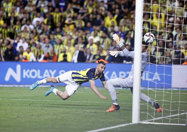 无论是球迷 无论是球迷