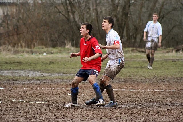 如何孕育未 如何孕育未