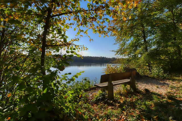 已曝光的问 已曝光的问