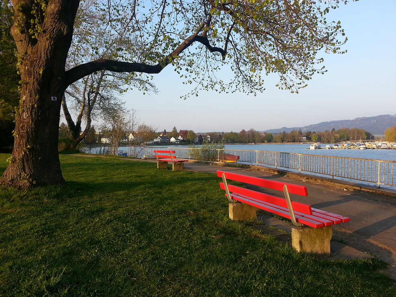 到了泰山队 到了泰山队
