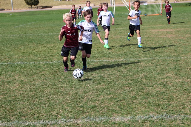 罵聲不斷的2025NBA明星賽 真正MVP是「斑馬」.