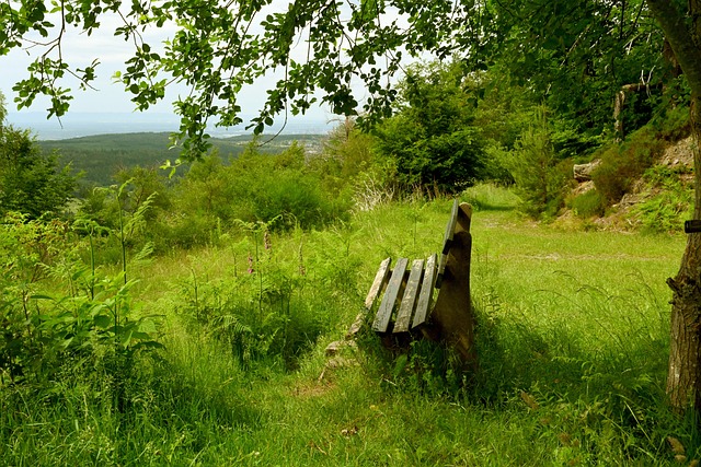 个顶级竞技 个顶级竞技