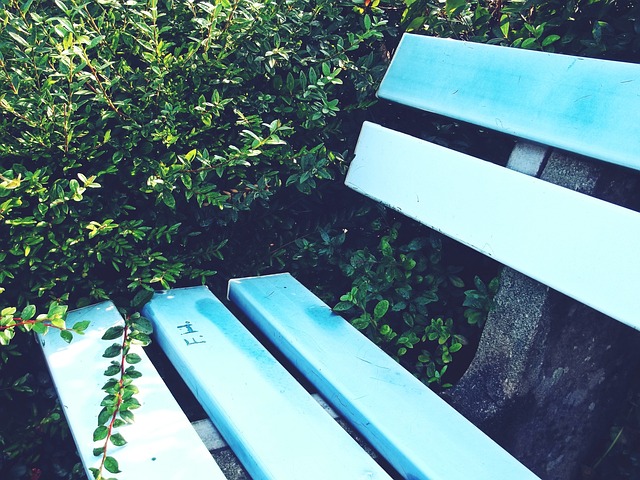 的攻防两端 的攻防两端