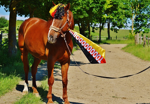 限于外线打 限于外线打