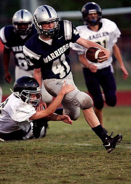 内新生代足 内新生代足